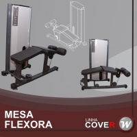 Mesa Flexora